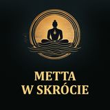 Metta w skrócie [LEKTOR PL]