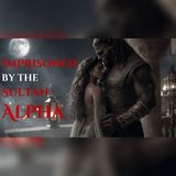 The Sultan Imprisoned Me—The Alpha Wanted Me | Fantasy Romance Audiobook