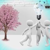 Transformational Leadership 3: Projects Principle - intro
