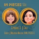 In Pieces Ep. 3 - FALL