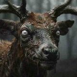 The Forest Watcher _ Scary Skinwalker Encounter