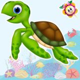 22. La tortuga petrula. Cuentos infantiles del Hada de Fresa