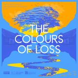 The Colours of Loss