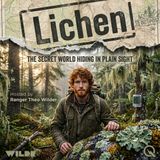 Lichen - Discover nature's hidden alliance with Ranger Theo Wilder