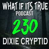 Archive 230 UFO and Bigfoot