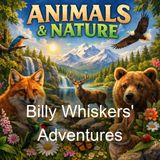 Billy Whiskers' Adventures - Frances Trego Montgomery