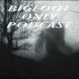 Paranormal activity in the woods. Do Bigfoots really cloak?!