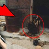 Top 3 stories that sound fake but are 100_ real _ Part 12 (_MATURE AUDIENCES_)