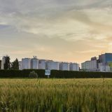 Esplode tubatura di vapore alla Cereal Docks: in condizioni critiche un operaio