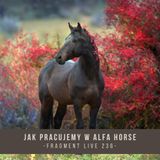 Jak pracujemy w Alfa Horse - fragment live 236