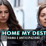 Anticipazioni My Home My Destiny: Il Padre Di Zeynep In Fin Di Vita!