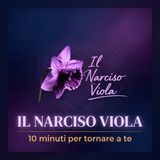Il Sasso Grigio - Quando smettere di spiegarsi può diventare una forma di protezione