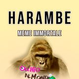 La storia di Harambe: internet che fa internet