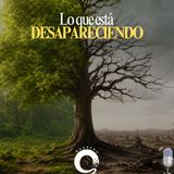 NUESTRO OXÍGENO Lo que está desapareciendo