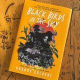 Blackbirds in the Sky by Brandy Colbert