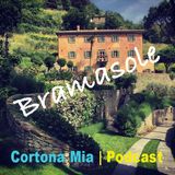 Under the Tuscan Sun: Stories of Bramasole and Beyond