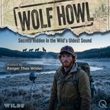 Wolf Howl - Discover the wild call of nature with Ranger Theo Wilder