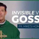 _Blind Spots_ Gossip_ _ 23rd Sunday in Ordinary Time (Fr. Mike_s Homily) _sundayhomily
