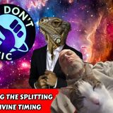 Don't Panic! - Navigating The Splitting Consciousness - In Divine Timing | Frank Castle