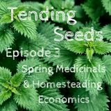 Ep 3 - Spring Medicinals and Homesteading Economics