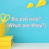 Lesson 80 - Ba zali nini? (What are they?)