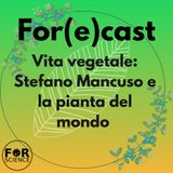 Vita vegetale: Stefano Mancuso e la pianta del mondo. For(e)cast 8 - Librodì