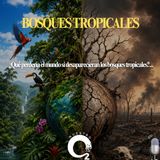 NUESTRO OXÍGENO-Bosques tropicales, ¿Qué perdería el mundo si desaparecieran?