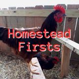 Homestead Firsts