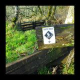 South Ridge Ascent (Podcast)