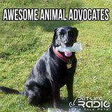 Awesome Animal Advocates - Episode 8 Rescue Central Helps Animal Rescue Groups Save More Lives