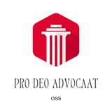 De rol van een pro deo advocaat in geschillen met werkgevers.