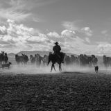 Los Forajidos del Salvaje Oeste
