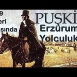 Erzurum Yolculuğu PUŞKİN sesli kitap tek parça Akın ALTAN