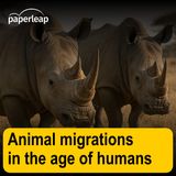 Animal migrations in the age of humans