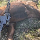 Survival Rifles - Gunfighter Classic