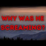 Missing 411   Was Mark Hanson Attacked on the Appalachian Trail