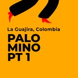Palomino (prima parte). La Guajira, Colombia.