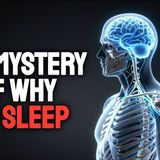 Why Do Humans Sleep So Strangely The Ancient Pattern We Forgot - Sleepy Time History