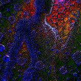 Biomatrixgenesis: Weaving the Divine into our Molecular Fabric