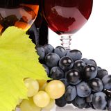 Best Time of Year to Visit a Winery (And Why It Matters)