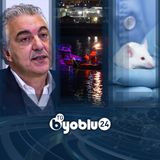 TG BYOBLU 24 | 1 FEBBRAIO 2025 | EDIZIONE 20:00