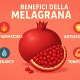 Melagrana: proprietà, benefici e consigli pratici