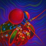 Some creatures see ghosts of the spectrum we can’t—UV rays, polarized patterns..