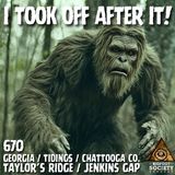 I Took Off After It! | Georgia