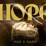 When Hope Feels Far Away