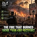 The Fire That Burned More Than 480 Hectares