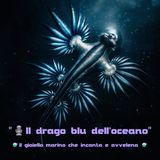 🎙️Fuori Scala #04 - “Il drago blu dell’oceano - bellezza e dolore”