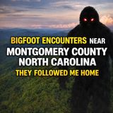 BIGFOOT ENCOUNTERS IN MONTGOMERY COUNTY NORTH CAROLINA | I THINK IT FOLLOWED ME HOME
