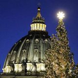 Fesserie ecologiste: no all'abete in Vaticano