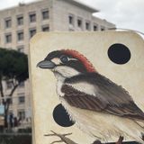 #697 Assalti, biodiversità, piscine e altre storie di Roma